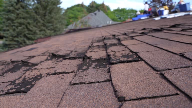 Best Solar Panel Roofing Installation  in Granger, TX