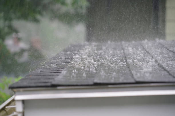 Best Roof Leak Repair  in Granger, TX