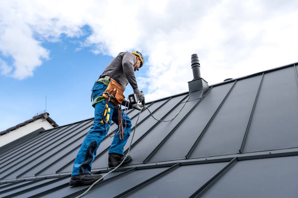 Best Roof Moss and Algae Removal  in Granger, TX